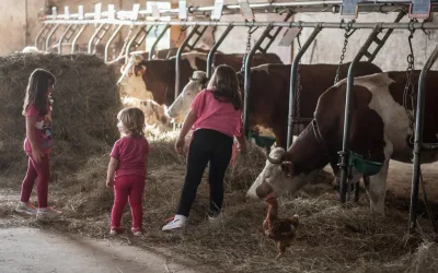 PROLUNGAl’ESTATE – Anche per bambine/i delle elementari